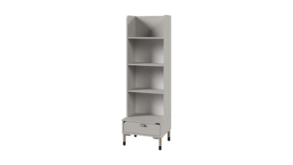LION BOOKCASE